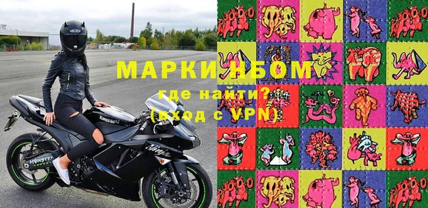 прущие грибы Новозыбков