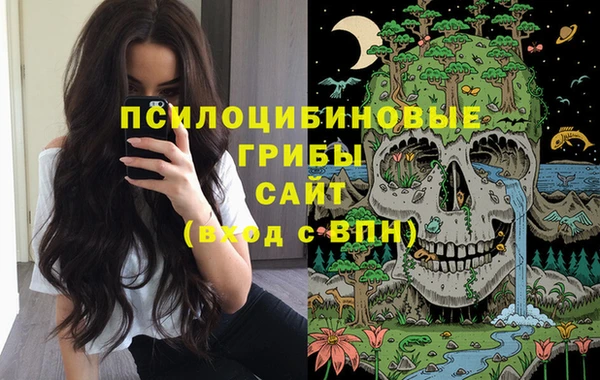 мдпв Нефтегорск