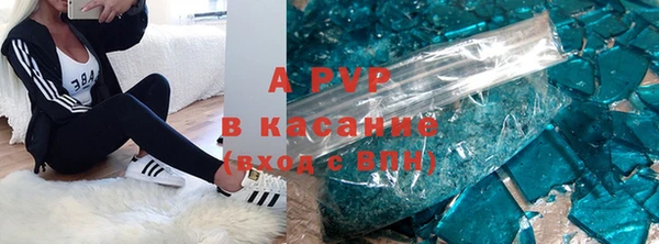apvp Горняк