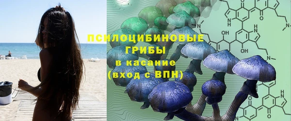 ГАЛЛЮЦИНОГЕННЫЕ ГРИБЫ Новодвинск