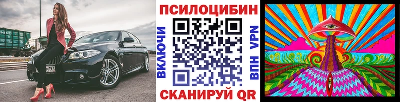 Галлюциногенные грибы Psilocybine cubensis  Николаевск-на-Амуре 